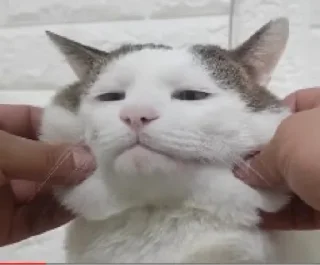 Sticker Стикерс2 - 7