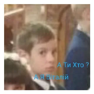 Стикер Vitrnadoviyti - 8