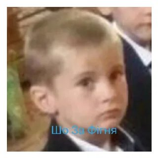 Стикер Vitrnadoviyti - 0