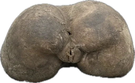 Стикер Vityatrucking - 1