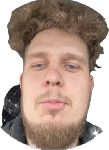 Sticker Vityatrucking - 1