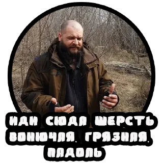 Стикер Vizhivalovo - 3