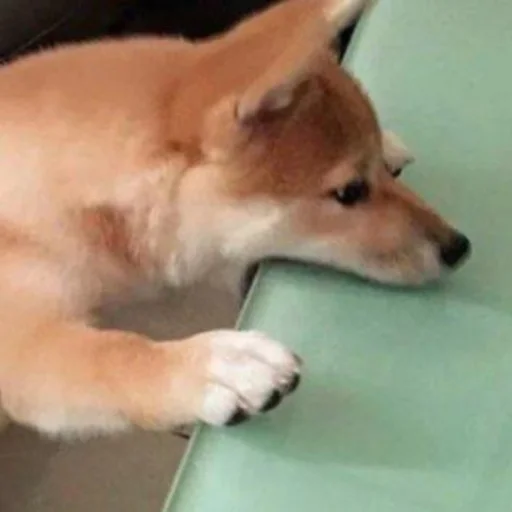 Sticker Vizualizatsiya - 1