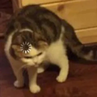 Стикер Vizualizatsiya_meme$💅🏻 - 2