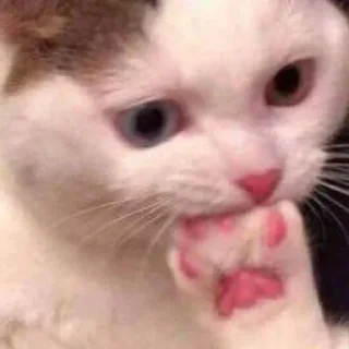 Стикер Vizualizatsiya_meme$💅🏻 - 11