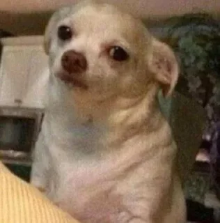 Стикер Vizualizatsiya_meme$💅🏻 - 3