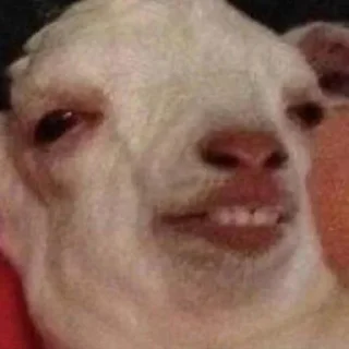 Стикер Vizualizatsiya_meme$💅🏻 - 0