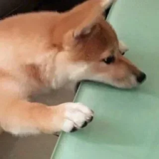 Стикер Vizualizatsiya_meme$💅🏻 - 7