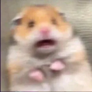 Стикер Vizualizatsiya_meme$💅🏻 - 6