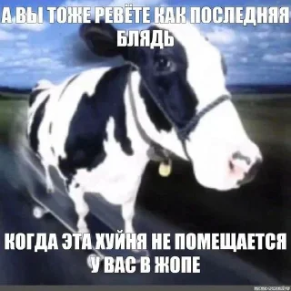 Sticker корова на скейте • @sticbot - 0