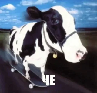 Sticker корова на скейте • @sticbot - 2