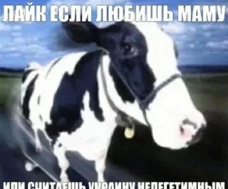 Sticker корова на скейте • @sticbot - 4