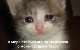 Sticker катка😈 - 2