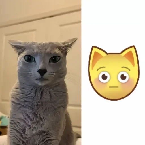 Sticker VkqRnHT_by_achestickbot - 1