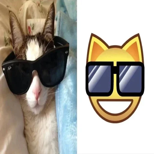 Стикер VkqRnHT_by_achestickbot - 1