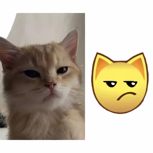 Sticker VkqRnHT_by_achestickbot - 1