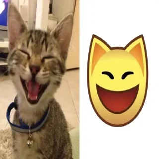 Sticker Больше стиков тут: @stikery4 - 4