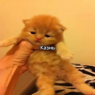 Sticker Больше стиков тут: @stikery4 - 9