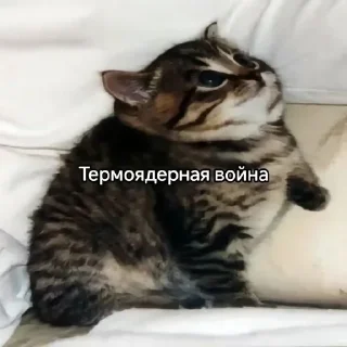 Sticker Больше стиков тут: @stikery4 - 0