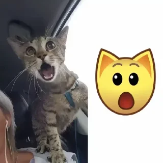 Sticker Больше стиков тут: @stikery4 - 2