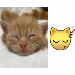 Sticker Больше стиков тут: @stikery4 - 10