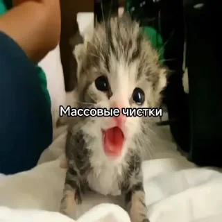 Sticker Больше стиков тут: @stikery4 - 3