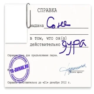 Sticker Dayman's luxury - 10