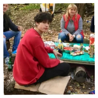 Стикер Владиковый беспредел - 9