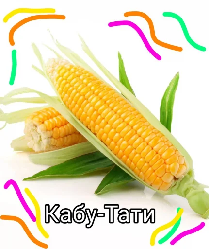 corn food corn on the cob