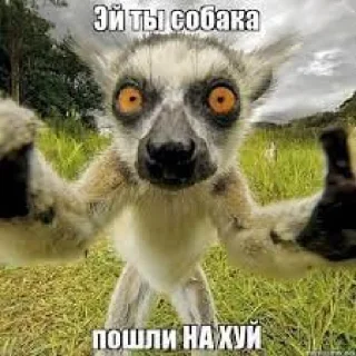 Sticker neskazu11 - 9