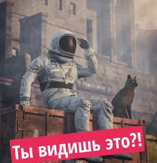 Sticker neskazu11 - 7