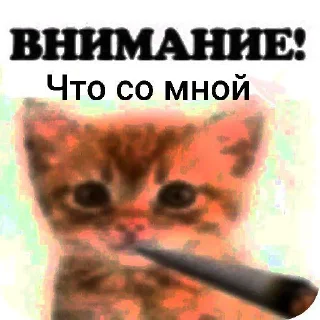 Sticker ВНИМАНИЕ! (@Vnimaniye_HuineiNeMaites) - 11