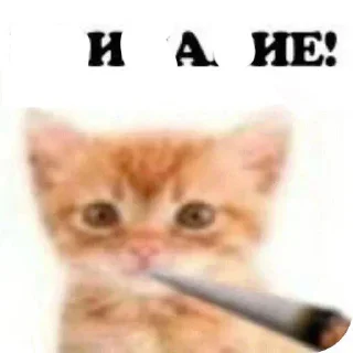 Sticker ВНИМАНИЕ! (@Vnimaniye_HuineiNeMaites) - 2