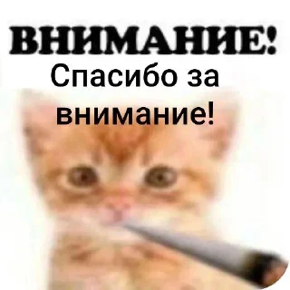 Sticker ВНИМАНИЕ! (@Vnimaniye_HuineiNeMaites) - 1
