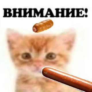 Sticker ВНИМАНИЕ! (@Vnimaniye_HuineiNeMaites) - 9