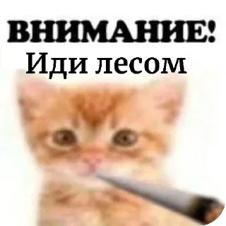 Sticker ВНИМАНИЕ! (@Vnimaniye_HuineiNeMaites) - 4