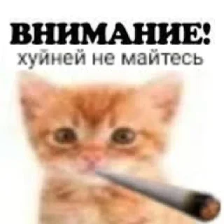 Sticker ВНИМАНИЕ! (@Vnimaniye_HuineiNeMaites) - 5