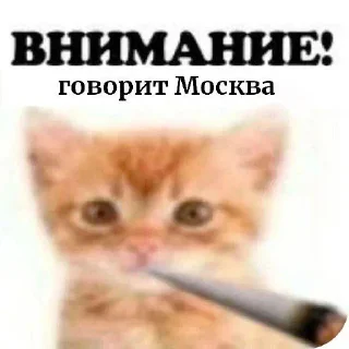 Sticker ВНИМАНИЕ! (@Vnimaniye_HuineiNeMaites) - 8