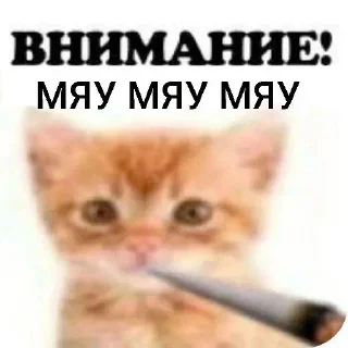 Sticker ВНИМАНИЕ! (@Vnimaniye_HuineiNeMaites) - 6