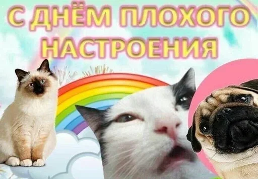 Больше стиков тут: @stikery4 - 