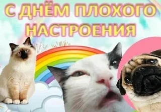 Sticker Больше стиков тут: @stikery4 - 10