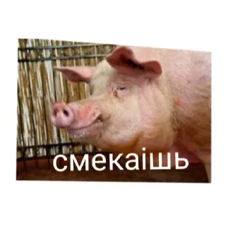 Sticker Во попрн - 2