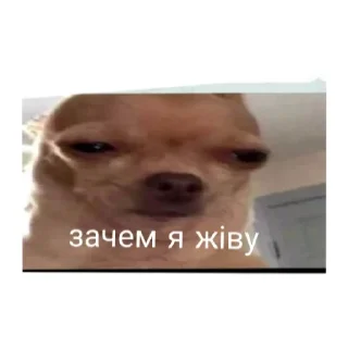 Sticker Во попрн - 1