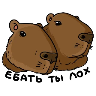 Стикер Капи (by @woodoodler) - 6