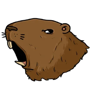 Стикер Капи (by @woodoodler) - 0