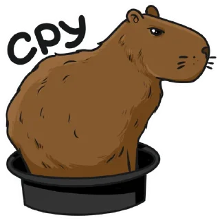 Стикер Капи (by @woodoodler) - 11