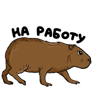 Стикер Капи (by @woodoodler) - 7