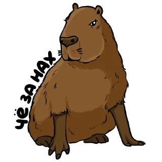 Стикер Капи (by @woodoodler) - 2