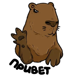Стикер Капи (by @woodoodler) - 3
