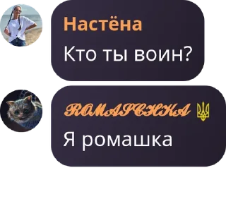 Sticker Воины - 6